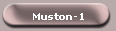 Muston-1